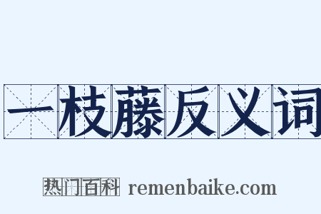 一枝藤反义词是什么意思的图片
